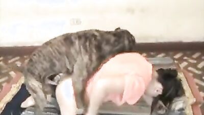 Mimi dog girl: dog sex pamela