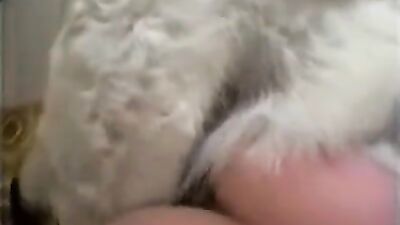 3d zoo porn: zoo porn hub