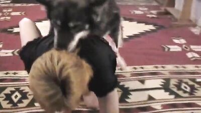 Bestiality games: dog sex webcam xxx