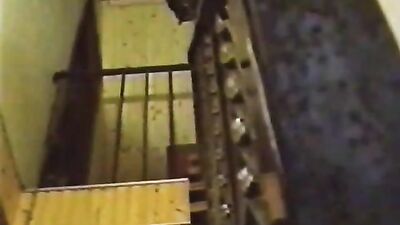 Zoophilia porn: sex man fuck zoo zoo