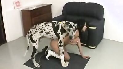 Dog girl 1: dog knott sex