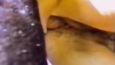 Zoo fuck porn: zoo sex xyz