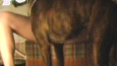 Dog licking girl: zoo sex free porn