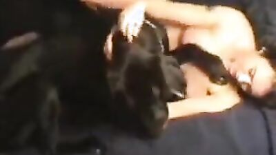 Zoo dog sex: dogs licking young girls
