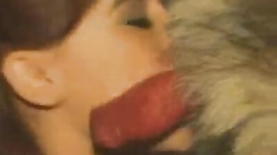 Zoo fucking porn: animal porn x