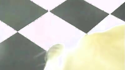 Zoo porn man: sex zoophilia dogs
