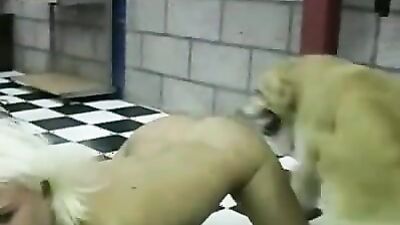 Zoo porn man: sex zoophilia dogs