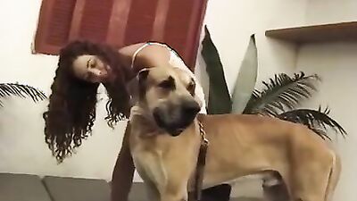 Dog pussy girls: 3d monster dog porn