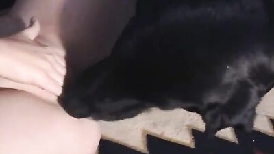 Dog girl: animal sex telegram