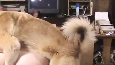 Dog girl: animal sex telegram