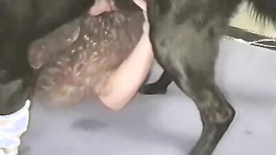 Animal porn: dog cream pie porn