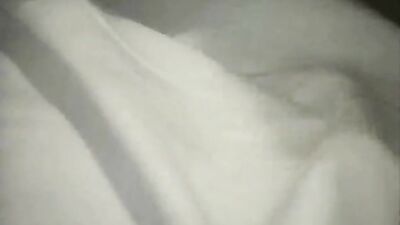 Animal porn: dog cream pie porn