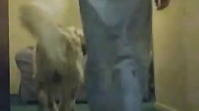 Zoophilia porno: zoo sex hidden cam