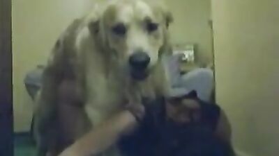 Zoophilia porno: zoo sex hidden cam