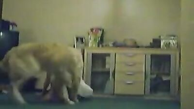 Zoo sex porn: xtaboo bestiality