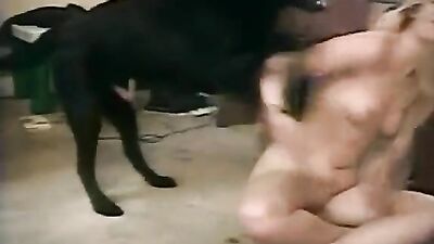 Animal porn: dog fucking gay porn