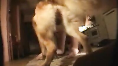 Dog girl play: video sex dog fuck girl porn