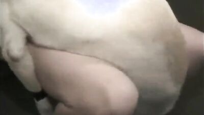 Zoo video: bokep sex animal india