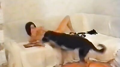 Bestiality: katty west dog porn