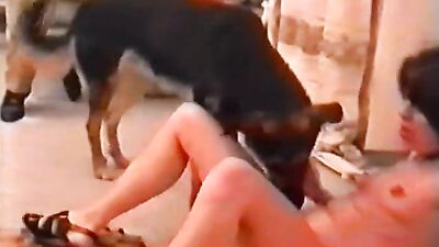 Bestiality: katty west dog porn