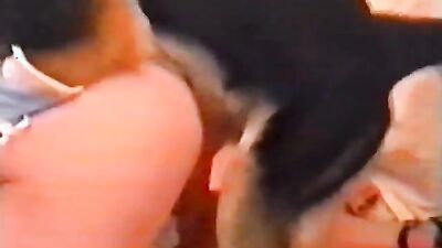 Bestiality: katty west dog porn