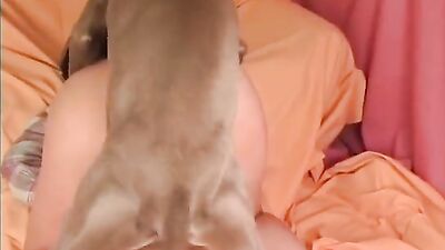 Bestiality video: latina zoo porn