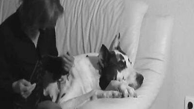 Zoo sex video: redhead dog porn