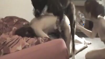 Bestiality xxx: sex teen girl and dog animals
