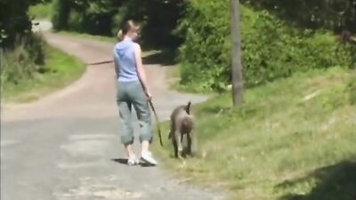 Dog fuck porn: zoophilia porno compilation