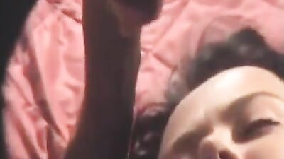 Zoo horse porn: zoophilia animal porn