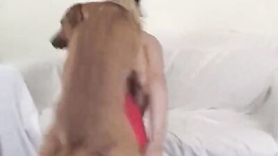 Animal sex: rus bew women animals porn