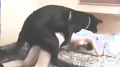 Dog fuck girls fucking: simona zoo sex