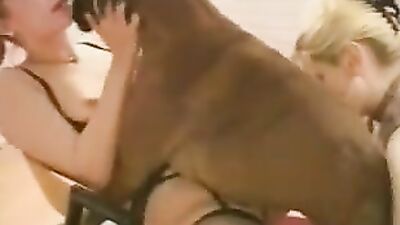 Women's dog sex: zoo porn cum