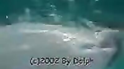 Bestiality xxx: art sex animals