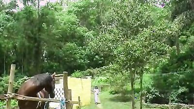 Animal porno: man fuck animal porn