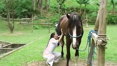 Animal porno: man fuck animal porn