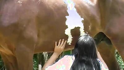 Animal porno: man fuck animal porn