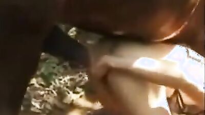 Bestiality porno: horse zoo videos