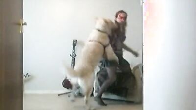 Dog gay porn: zoo videos ru