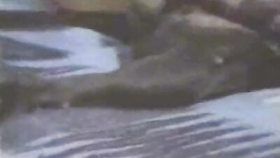 Dog's porn: turtle fuck zoo sex 18