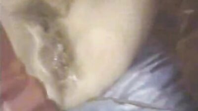 Dog's porn: turtle fuck zoo sex 18