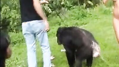 Art of zoo porn: xxx desi indian with dog sex