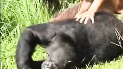 Art of zoo porn: xxx desi indian with dog sex
