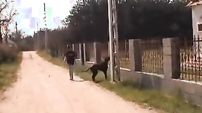 Boy girl dog: aoz porn zoo