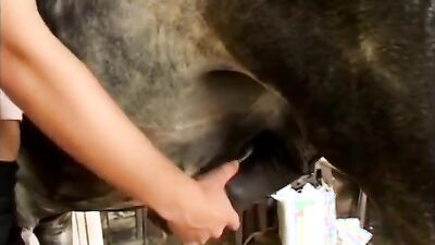 Bestiality video: dog girl feet