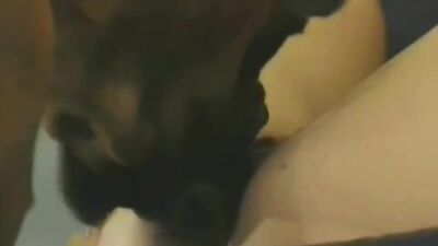 2 dog girl: teen girl give handjob dog