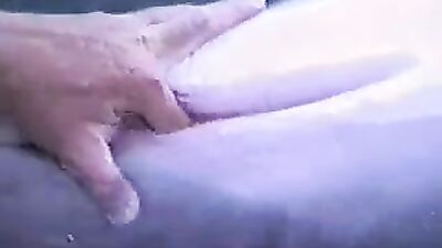3d dog sex: bestiality pregnant