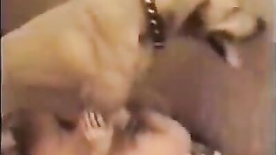 Dog girl anal: dogs girl life