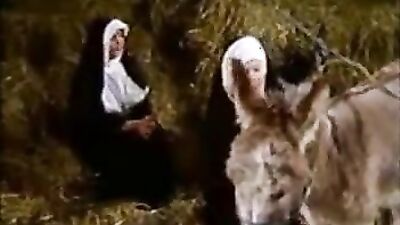 Girls s dogs: pregnant zoophilia