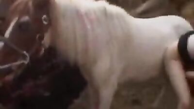 Porn bestiality: animal porn compilation tube